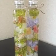 ぴよの画像