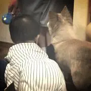 hmプロフ見てください！の画像