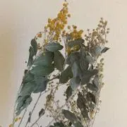 マカロニの画像