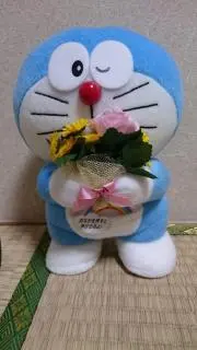 めぇ〜ちゃんの画像