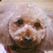 Mikyeの画像