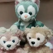 M.Sの画像