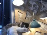 わらいおんの画像