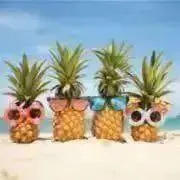 きょうちゃんの画像
