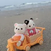 すしこの画像