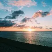 mimiの画像