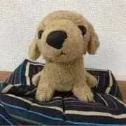 びーさんぬの画像