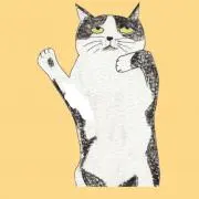 necoの画像