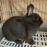 Takaの画像