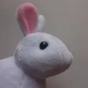 いすの画像