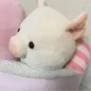 siryaの画像