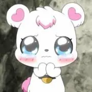 rの画像