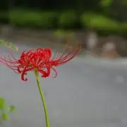 YUKI.517の画像