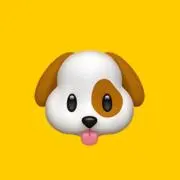ゆーすけの画像