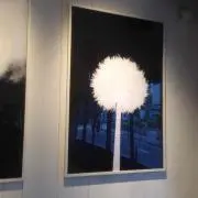 Yの画像
