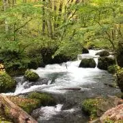 kawatakaの画像