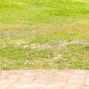 kazuの画像