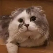 ハルさん ☆プロフ必読の画像