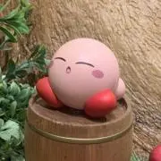 ちょこの画像