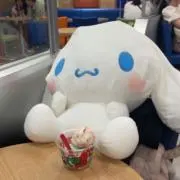 177p