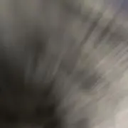 いちの画像