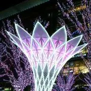Sakura❀✿【発送まで7日かかりますの画像