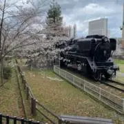 ma1989の画像