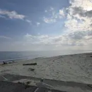 みちゃの画像