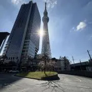 りーの画像