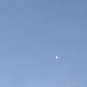 ぽむ