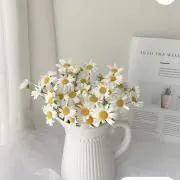 S(プロフ必読)の画像