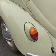 Tanの画像
