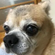 Keiko Kuwabara