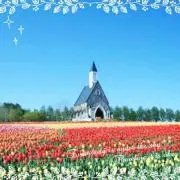 pekenoraの画像