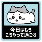 まっちゃ(* ॑  ॑* )