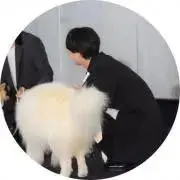 さと　断捨離中の画像