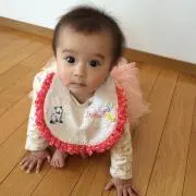 タカ