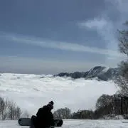 WATAの画像