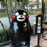 sakuraの画像