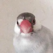 ぎんた06の画像