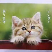 ニッピ★誠心誠意を持って対応❗️の画像