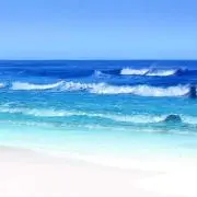 Tchanの画像