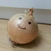 たまねぎの画像