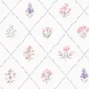 sakuraの画像