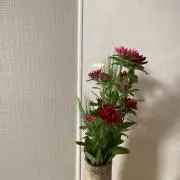 しずく