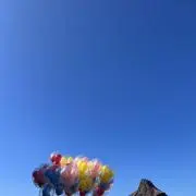 ゆずの画像