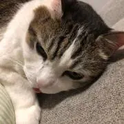 断捨離の画像