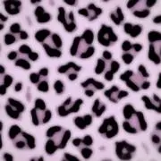 みあの画像