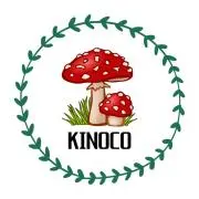KINOCOの画像
