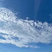 みゅの画像